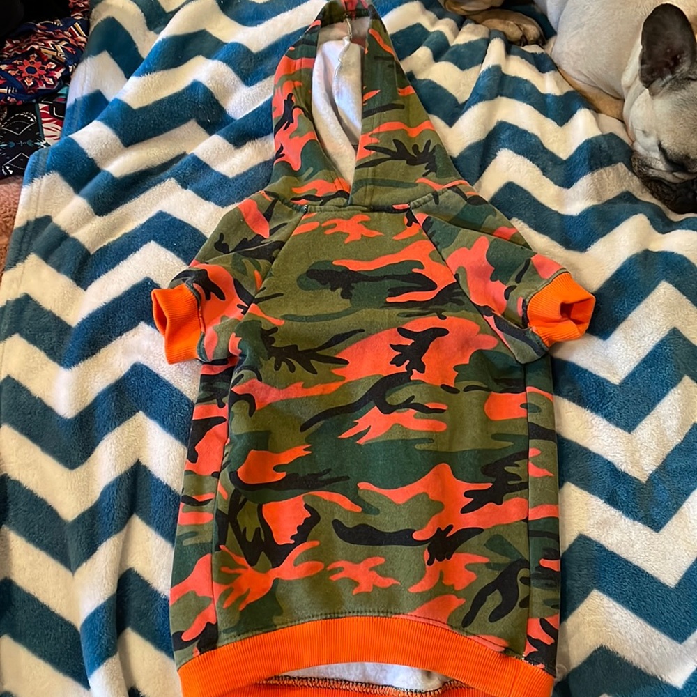 Pup hoodie